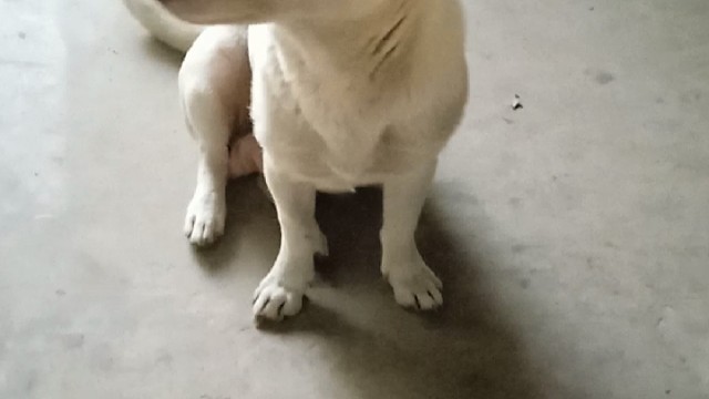 *⁂((✪⥎✪))⁂*