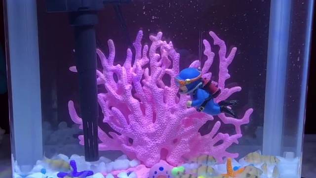 自由自在的游吧