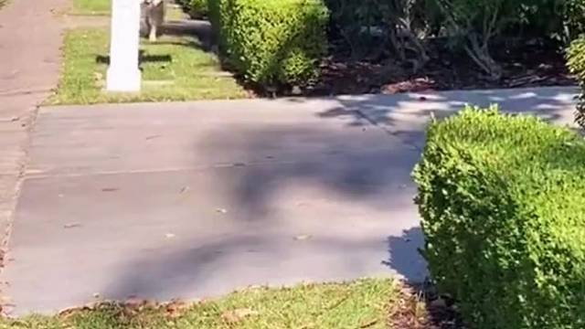 又是开心的一天