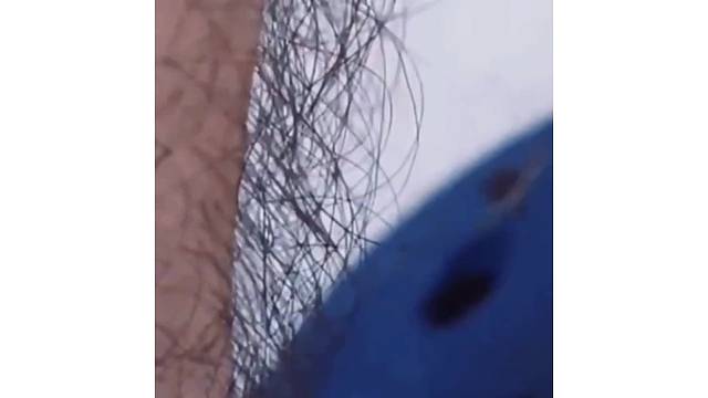 我说雯雯怎么不咬我