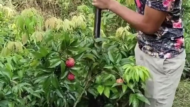 我发布了一个新视频，快来围观吧！