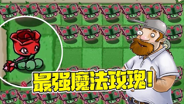 植物大战僵尸：当全屏种上魔法书叶，魔法玫瑰就是最强植物了吗？
