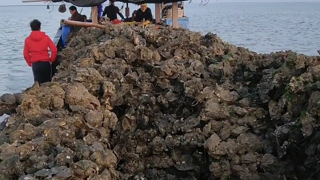 我发布了一个新视频，快来围观吧！