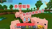 迷你世界生存82：粮食和陆地都有了，没想到养猪翻车了，9死1伤