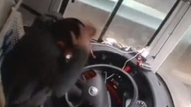 司机高速突然被乘客用安全锤暴击，忍痛停车挽救全车39人生命，致敬无名英雄！