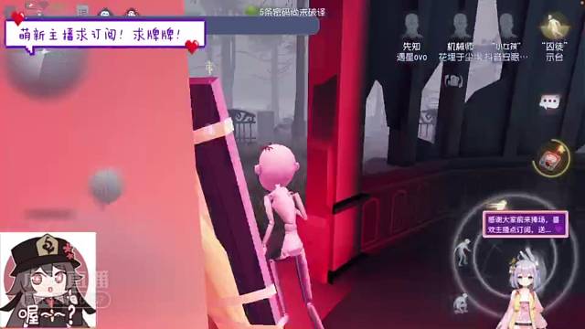 杰哥为什么追娃上头