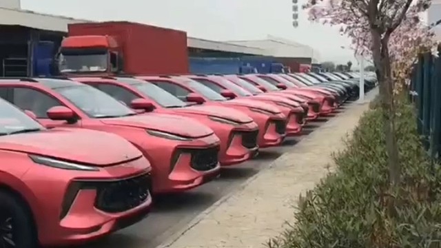 如果是你爱的人确诊阳性想见你一面你会去见吗#东风风行t5evo