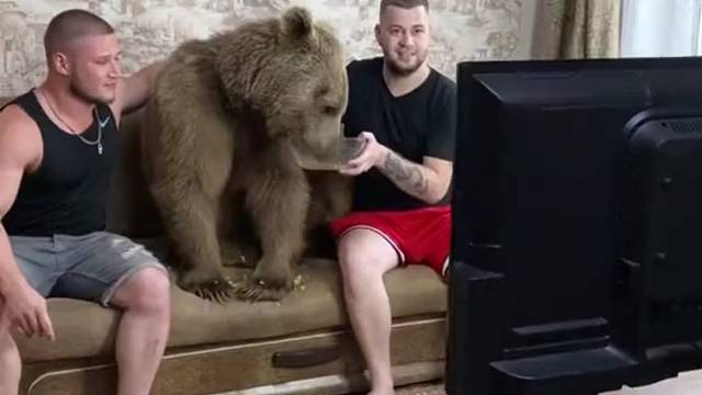 熊：我还以为你们要打我