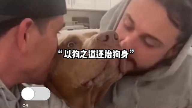 以狗之道还治狗身，把修勾整得不自信了