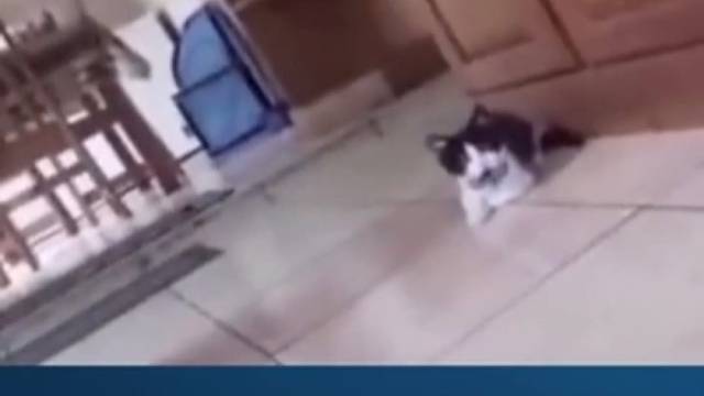 估计有心理阴影了……