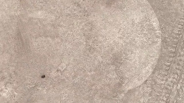 这画的也太标准了