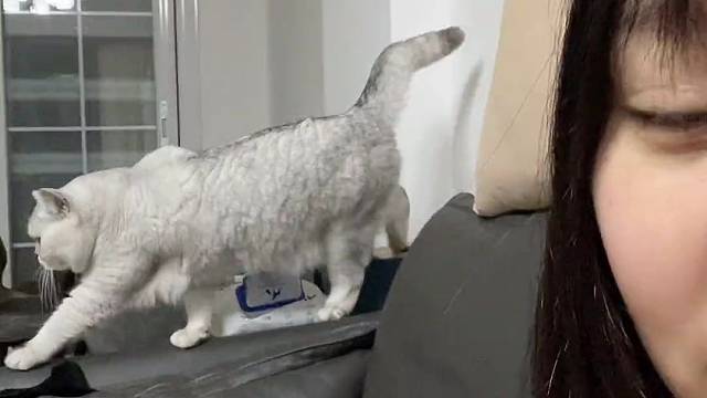 她在教我做事？