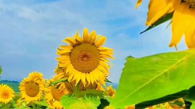 牵牵挂挂，字字入心，爱与未来的味道，是甜美的，跟着时光的脚步，收集共有的美好，相守延续成诗，我的心尖