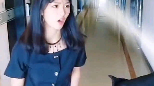 我都不怕，你怕什么？