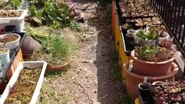 这乌龟气性也太大了吧！！