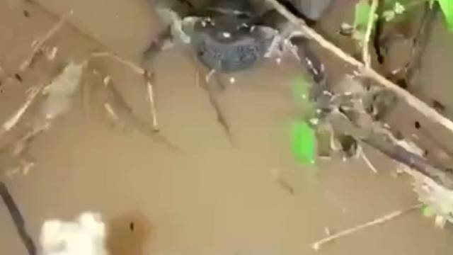 你们喜欢这种女主播吗？