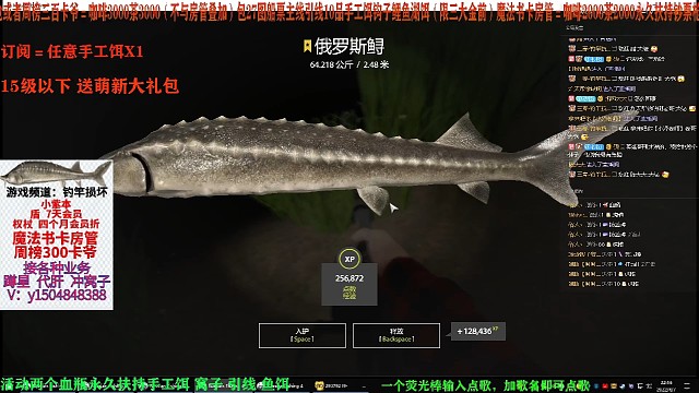 嘎！3分钟64星鲟