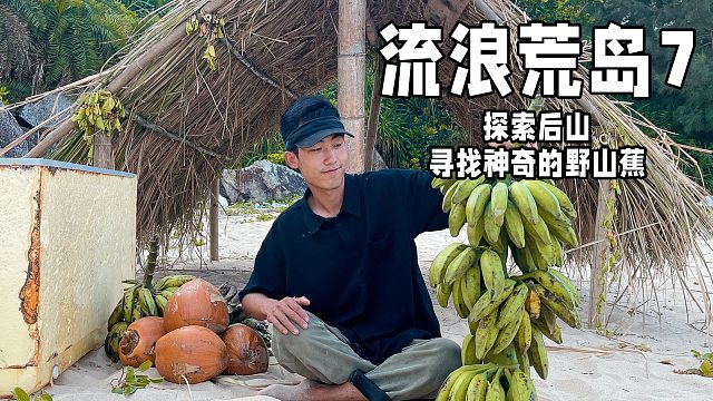 搭建庇护后，上山寻找神奇的野山蕉，荒岛生存7
