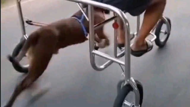 这兄弟不能要！你累死了他还嫌你慢！