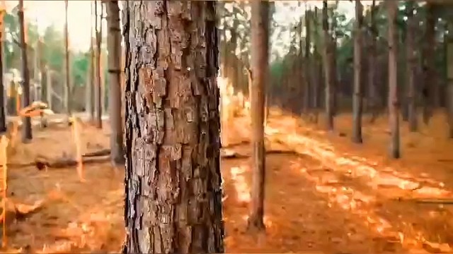 好消息4.1号起家人可共用医保卡啦