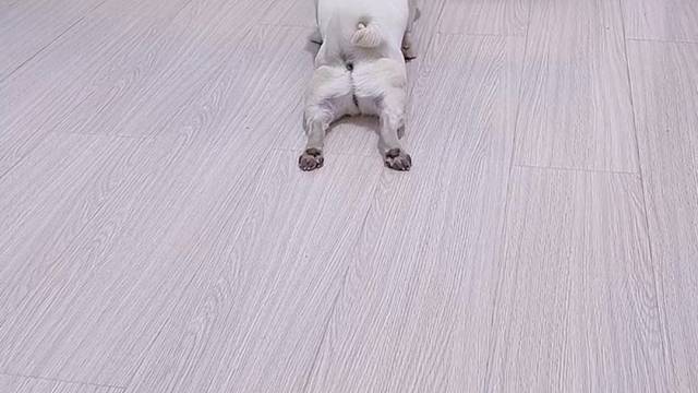 高手，这俩货都是高高手啊