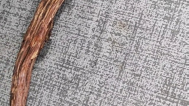 海南降真香之收藏款