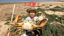 阿平到养殖场赶海收获真不错，抓到了一只很大的青蟹堪称蟹王