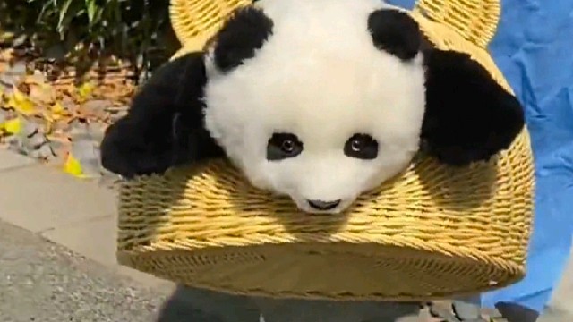 这位仁兄，请把笋笋留下！