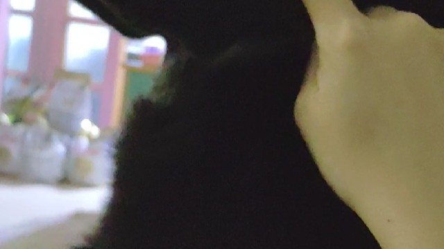 我儿子是一只黑猫猫哦