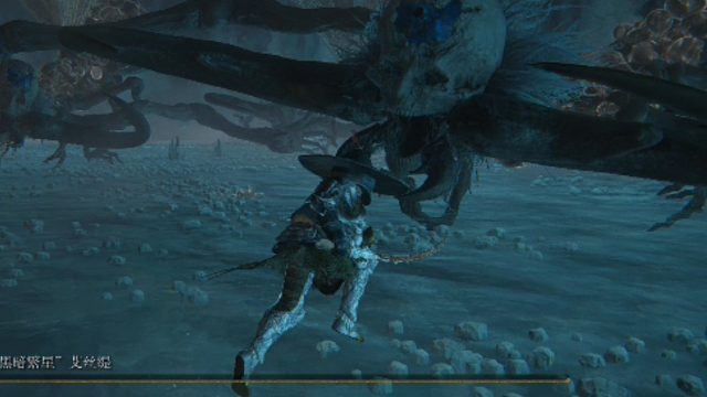 《艾尔登法环》艾丝缇丝血反杀褪色者实录