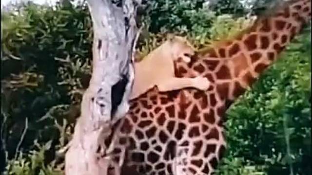 这个场景应该怎么形容