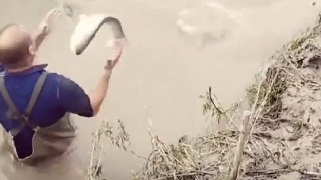 白捡一条鱼，惊不惊喜