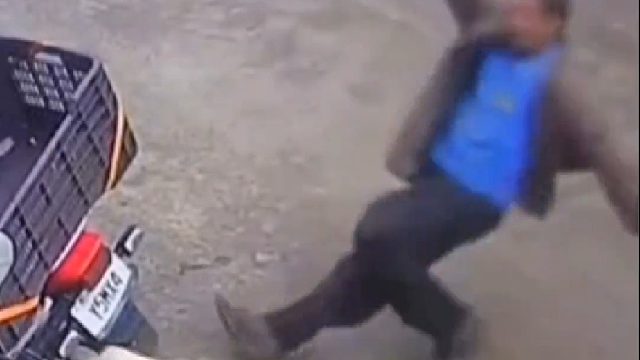 监控下的一幕，狗狗不管我事