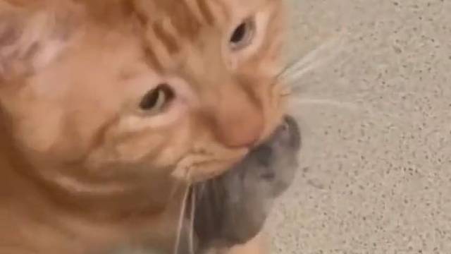 都怪你，都怪你，都怪你