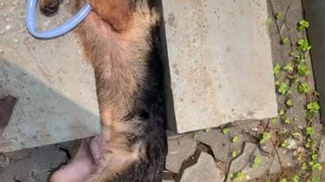 广州到底有多热，你细品