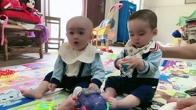 大宝二宝上线啦