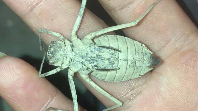 看我发现的小可爱