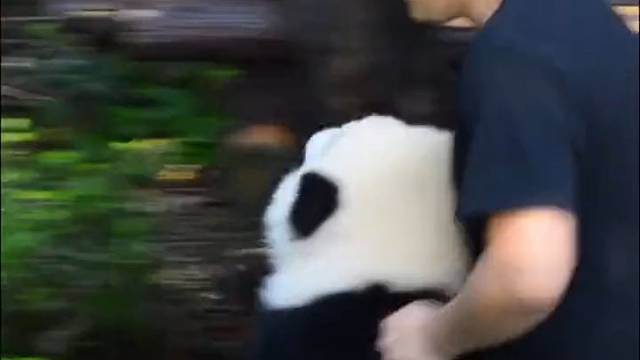 唯一一个把自己玩成稀有动物的