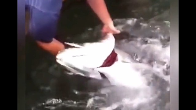 手抓饵钓鱼开启钓鱼新模式