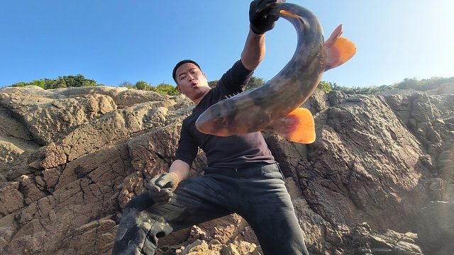 小明刚抓到几条大鱼，突然发现旁边还有一条更凶猛更值钱大货