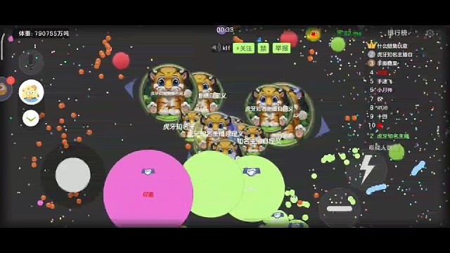 顶尖测张和花母