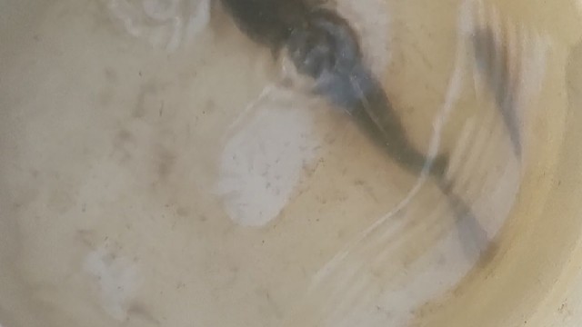 希望我这个小朋友，让你牵挂让你难忘。