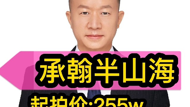 上新:91平，255万，龙岗区承翰半山海法拍房