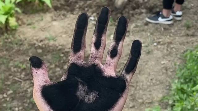 没想到吧哈哈哈