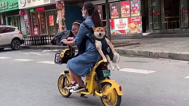 狗：看啥看，能耐你让你妈也背你啊，小样