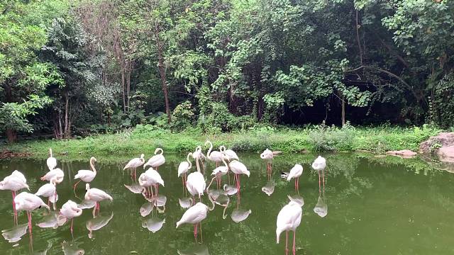 广州疫情早日退散