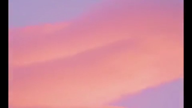 因为你是吹向我的风~