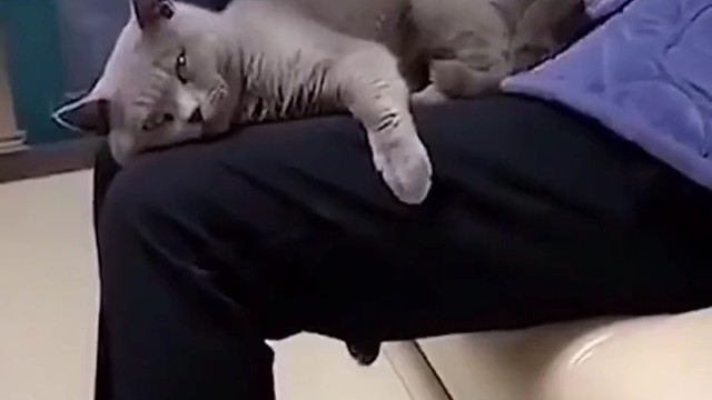 据说，这是古代的一种兵器