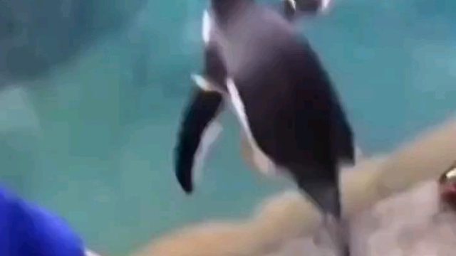 您的qq在异地登录