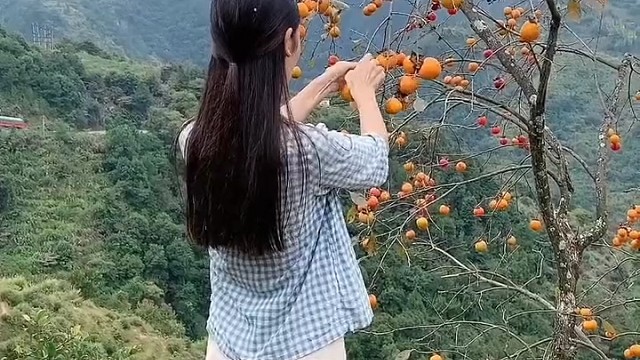 安溪美女放牛小阿妹